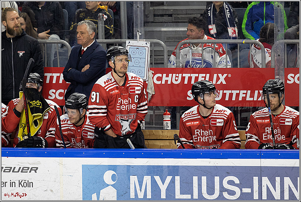 PENNY DEL - Viertelfinale;  Koelner Haie - Adler Mannheim; Koeln, 17.03.2023